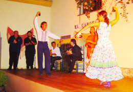 Show de Flamenco no Tablao El Cardenal