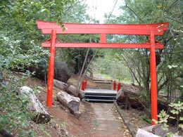 Portal japons integrado  paisagem